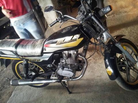 vendo horse