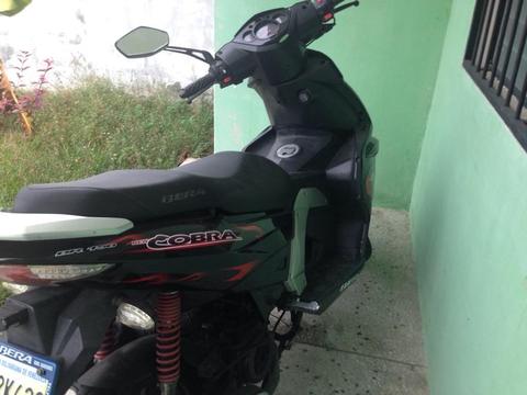 Moto Bera Cobra