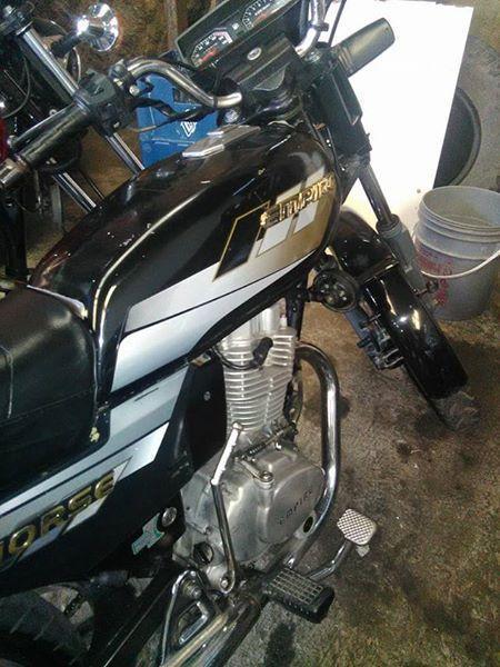 Se vende horse 2011 al dia