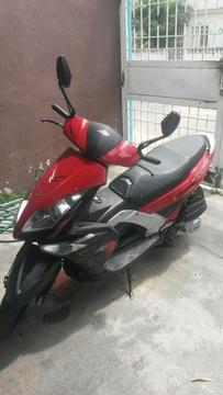 Vendo Bera Cobra 2013