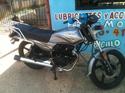 Vendo skigo 150 nueva