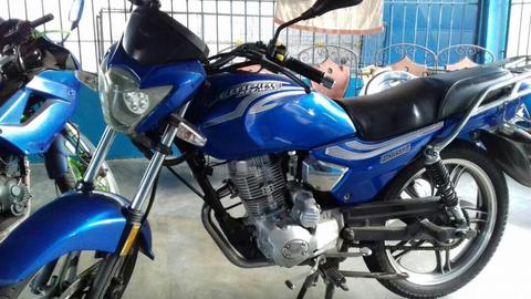 Horse 2 Activa Y Bella