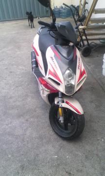 Vendo Bera Runner 2014