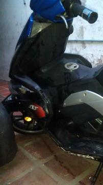 Se Vende Bera Cobra 2012