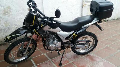 Lechuza Md Año 2015