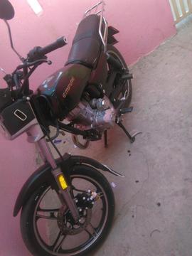 Vendo Empire Horse 1