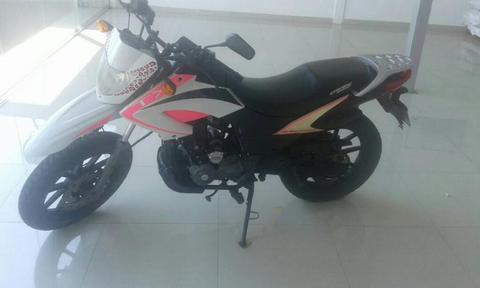 Moto Tx 2011 Sm