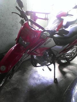 Md Trepador