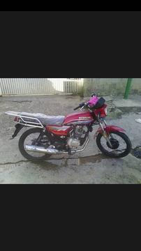 moto horse 1 2012