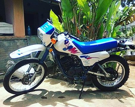 Dt Yamaha 175