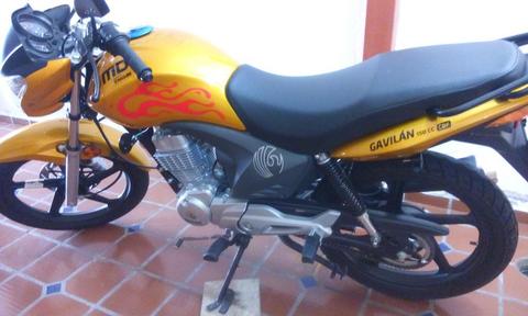 Moto MD Gavilán