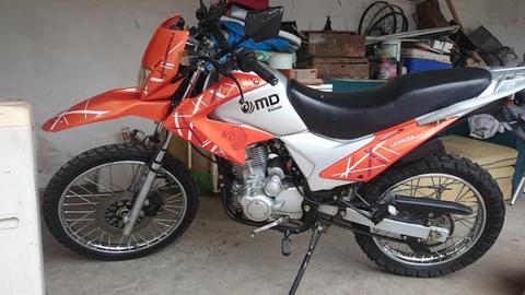 MD trepadora lechuza 2015