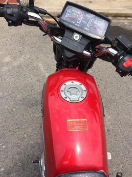 Horse Empire 04243098505