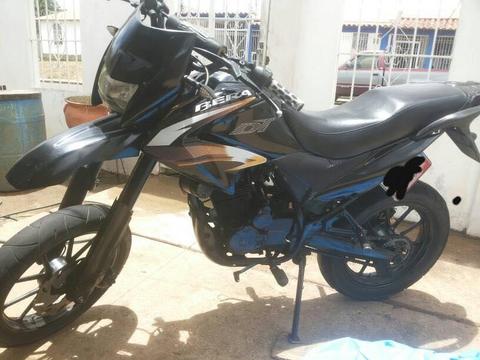 vendo bera dt