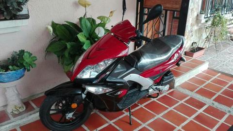 Bera Cobra 2016 a Estrenar