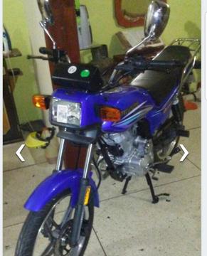 Vendo Horse1 2017