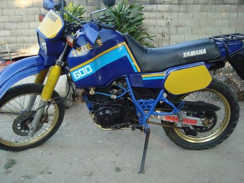 xt 600 todo al dia