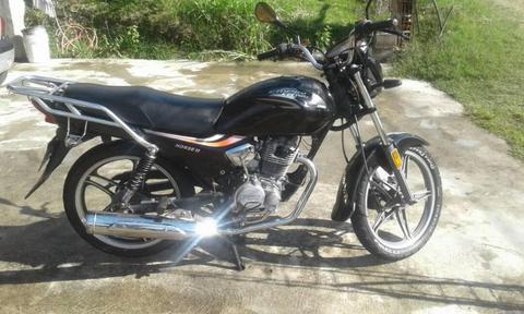 horse 2 2013