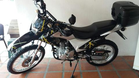 Vendo Lechuza por Motivo de Viaje