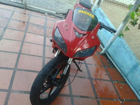Bera R1 2013