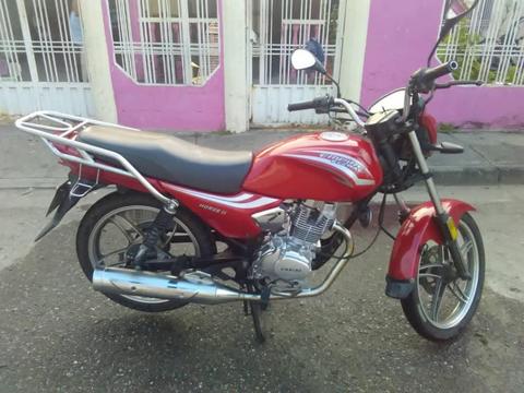 vendo horse 2 2012