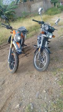 Moto Horse 2015 y TX 2013