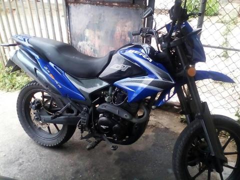 Vendo excelente bera Dt 2013