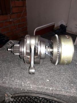 Ciguenal de Bera 250