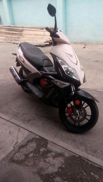 Se Vende Bera Cobra 2013