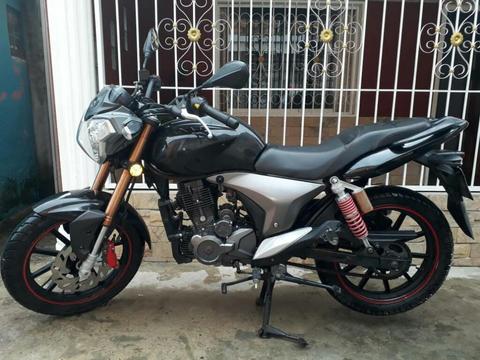 Vendo Rkv 2013