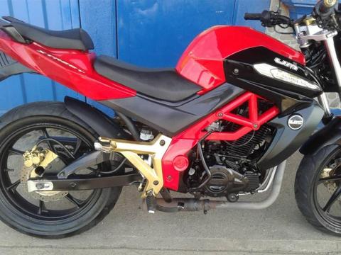 MOTO UM XTREET 230