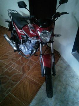 remato mi horse 2 2014