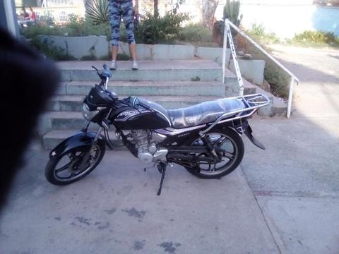 Moto Horse 2