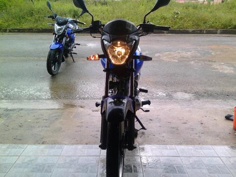 Vende Horse 2 . 2012