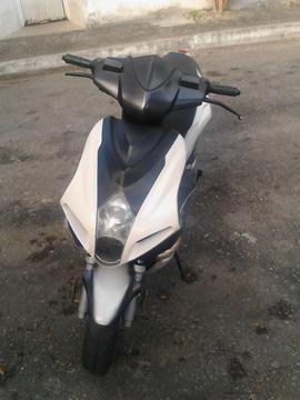 Vendo Bera Runner 2013