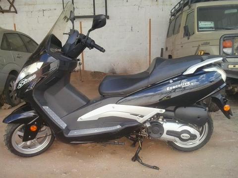 Skigo Executive 250 Cc