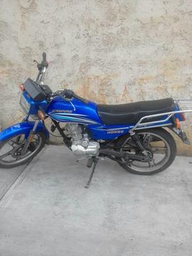 Vendo Horse 2013