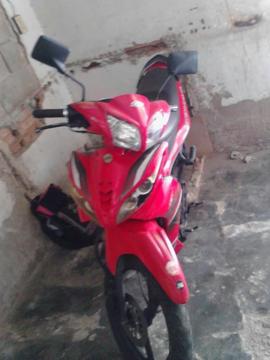 Bera X1 2013