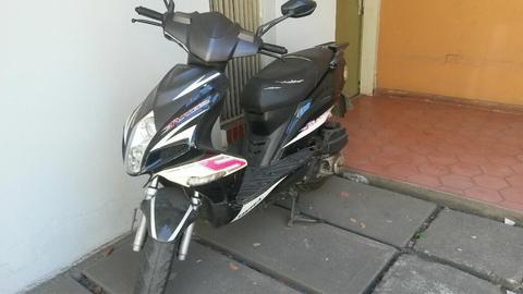 Se Vende Bera Runer Excelene Precio