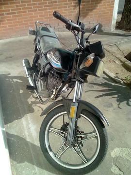 Vendo Horse 2012