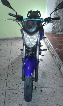 Vendo Arsen 2 2013