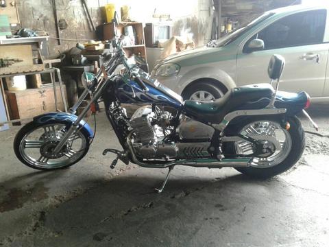 Ava León Queen Motor Nuevo